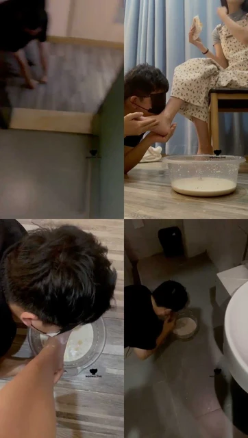 【LL77】牛奶圣水让狗喝