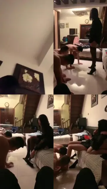 【BS系列7】BS系列7