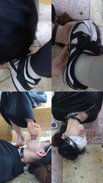 【哈宝】班花要来教室找刺激