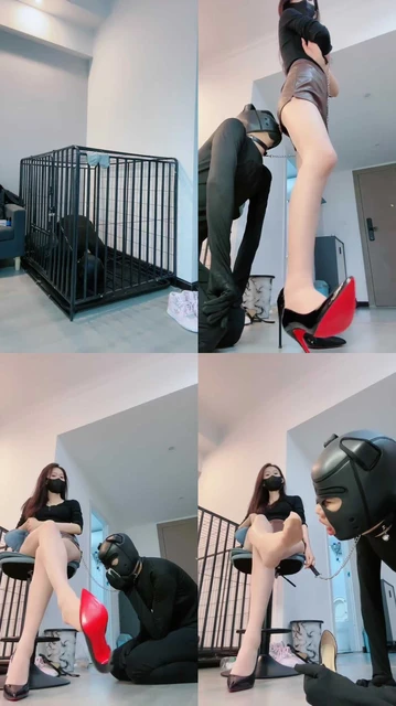 【陈莹斯】圈养第二天 禁食气味训练