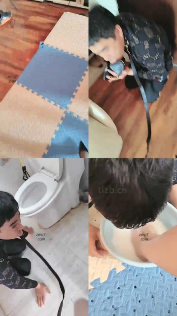 【刘二狗】沦为金融白领的家奴