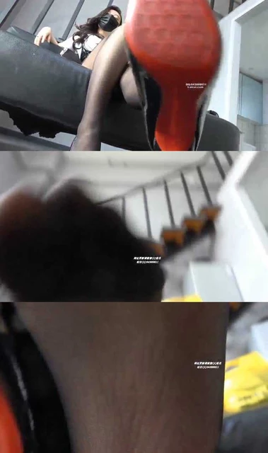 【周一学姐】第一视角 老师教育学生狗