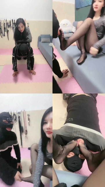 【木子大大】开发新狗