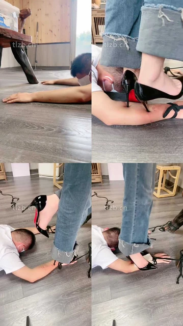 【沅芷】食物链的顶端