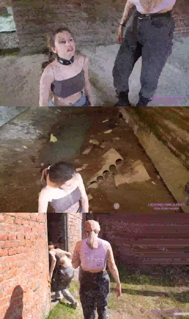 【外国女主】剧情 财阀千金暴力侮辱践踏女同学