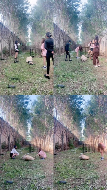 【沅芷】贱货被装在麻袋暴揍 当场退圈