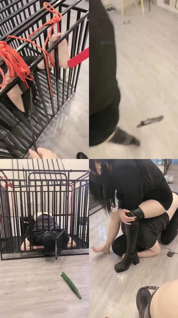 【礼礼】2个女王调教被圈养的男奴