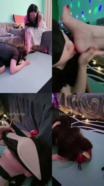 【柒柒】开发小白菜鸟