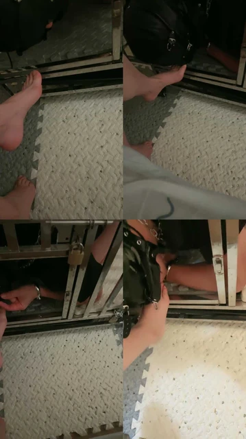 【西安梦溪s】圈养