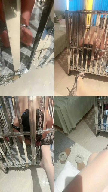 【西安梦溪s】圈养