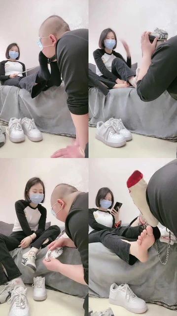 【Q月S】玩一只蠢笨