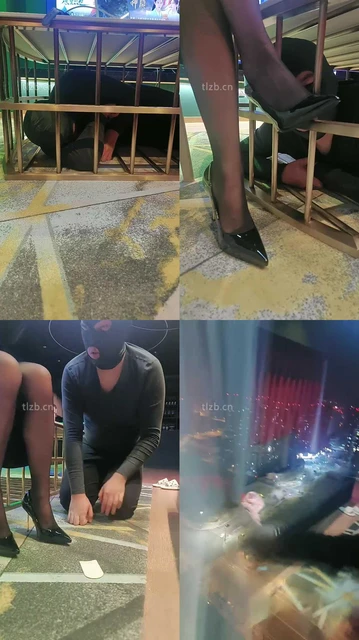 【咩祖】把狗圈养在茶几底下