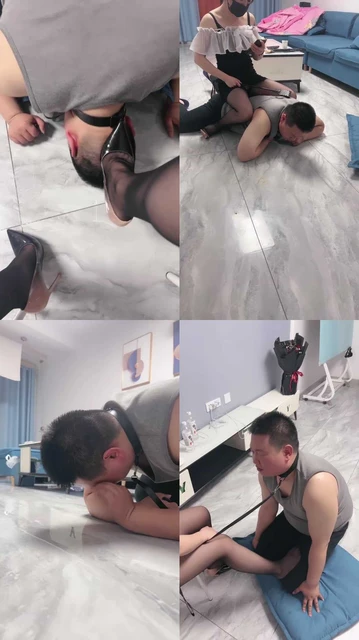 【羽珊】调胖DOG