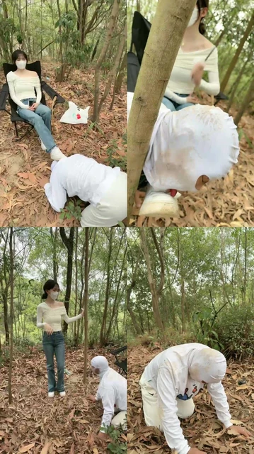 【暴主s】户外马桶开发