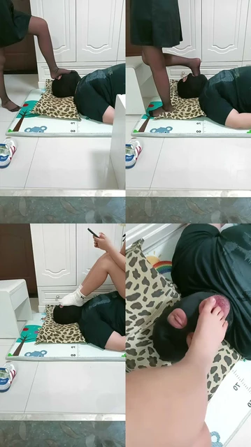 【萌宝儿】TJ大胖狗