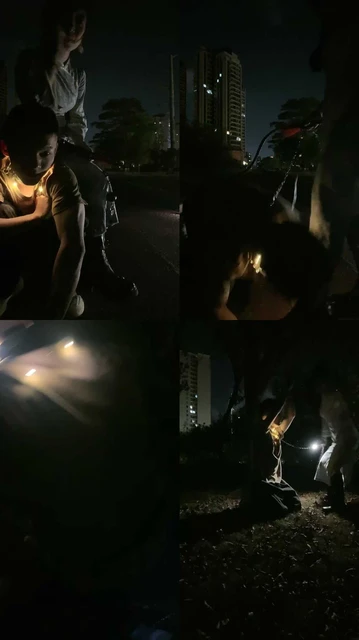 【薇薇】户外玩狗自己撒的尿自己舔干净