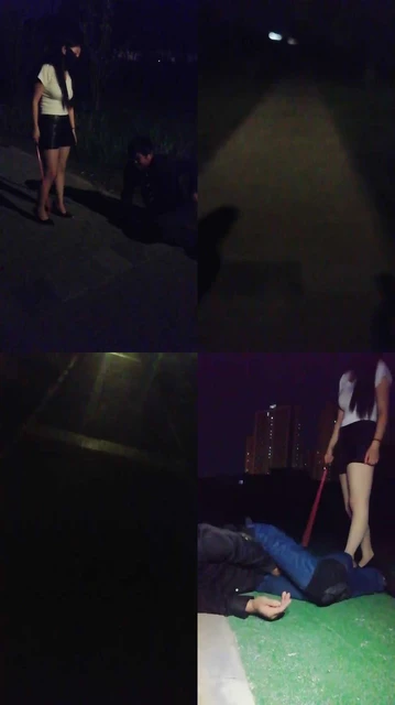 【天韵女皇】户外遛狗爬行/抽耳光/鞭打/【双视角版】