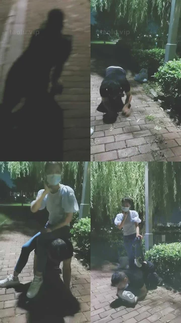 【凌儿】深夜户外-鞭打/小白鞋踩虐/舔脏鞋/骑马