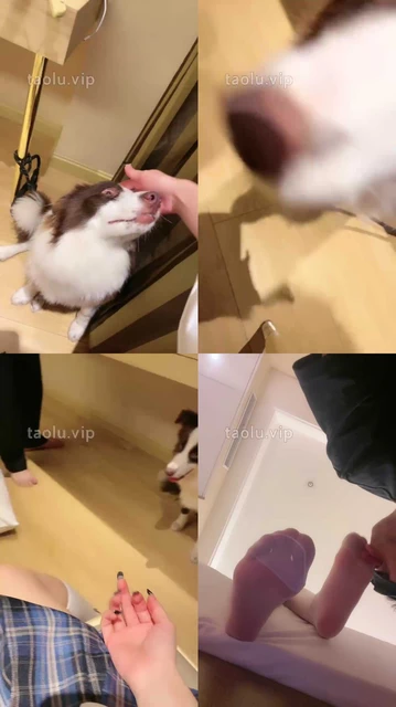 【小痴大大】JK洛丽塔皮鞋白袜-竖中指羞辱/鞋插嘴/掐脖窒息