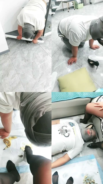 【安然】现场调狗