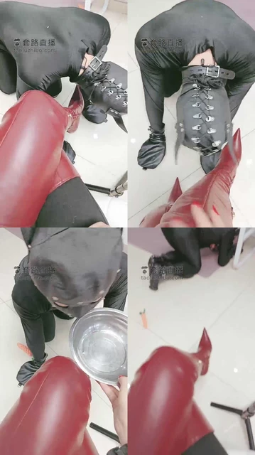 【执念】圈养家奴卑微调【完整版】