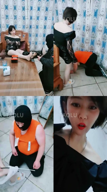 【语晴】求爱不成反成狗奴