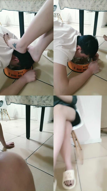 【珍惜女王】狗子的日常喂养