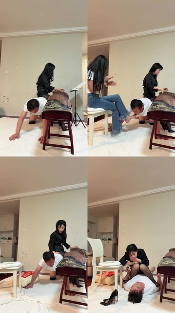 【琴月S】双主调家奴