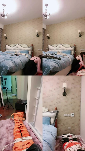 【艾琳175】超强紧固圈养犬化