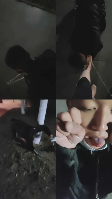 【嫦娥】深夜户外犬化-转胯爬行/长靴踩踏碾压