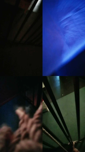 【青云艾斯】圈养囚禁