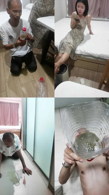 【芝芝女王】黄金奴不看后悔