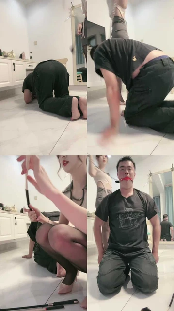 【时颜】被主人赏赐鞭刑sp