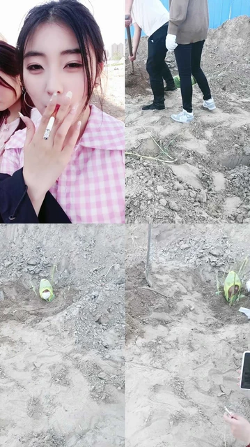 【凌雪双S】活埋老狗