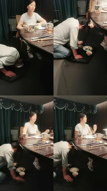 【盛梦空间s】爆踢芥末投喂老狗