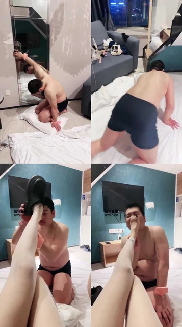 【苏晚】贱狗逃跑没成功