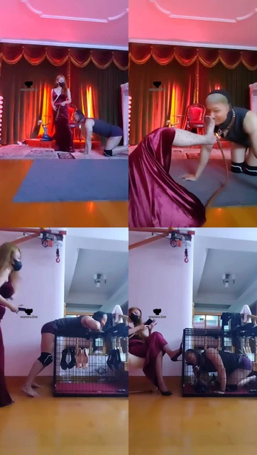 【魔鬼天使】暗黑囚禁-面试直播狗【双视角版】