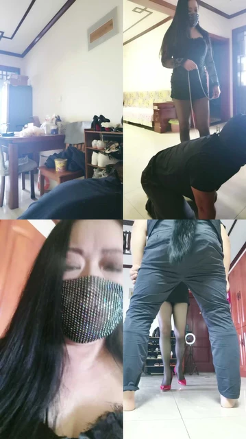 【冷艳S】调教狗子