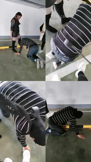 【广州迪迪】双S-户外停车场遛狗【双视角版】