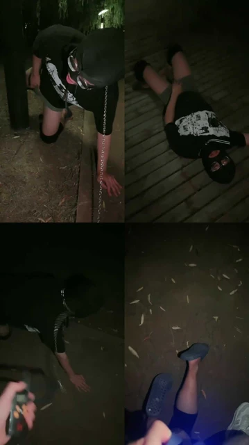 【语阳】户外遛狗驯化人形犬/电击