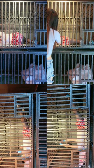 【圈养基地】狗笼囚禁犬化