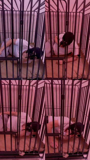 【甜一】坐脸窒息/全体重踩踏/狗笼闻鞋发骚【两部合集】