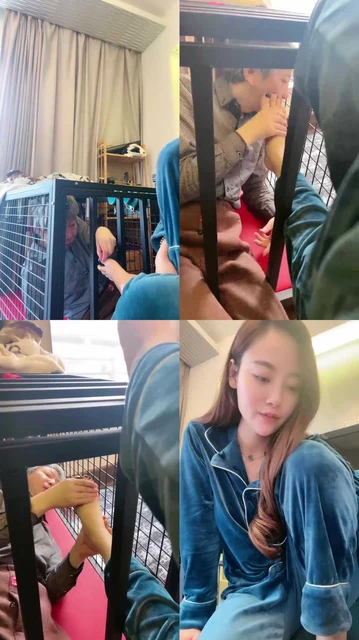 【一嬛】狗笼圈养生活