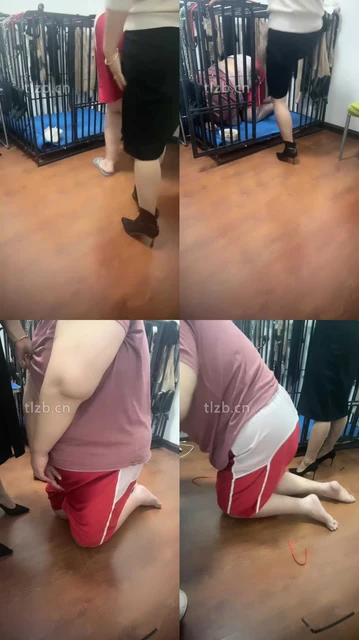 【冰色】狗笼圈养囚禁肥狗