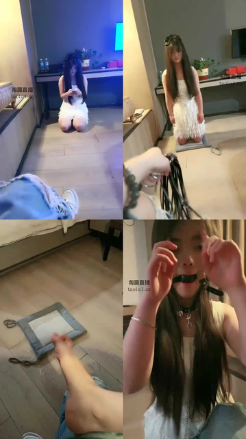 【南烟s】母狗该怎么训呢？