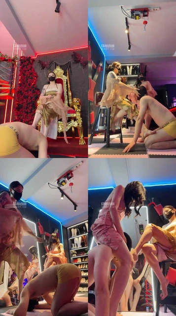 【静怡】开发新狗