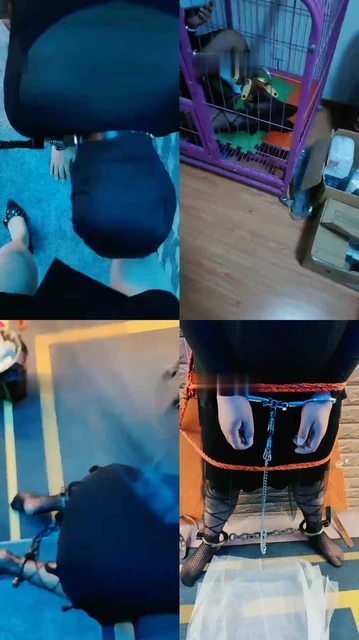 【东营天香百合】暗黑囚禁骚狗