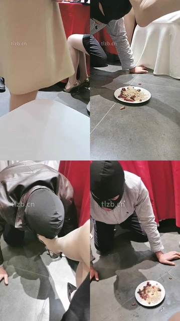 【朱迪女王】户外双S-桌底视角喂食【双视角版】