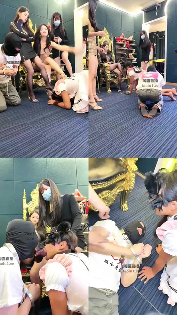 【一诺大小姐】虐母狗