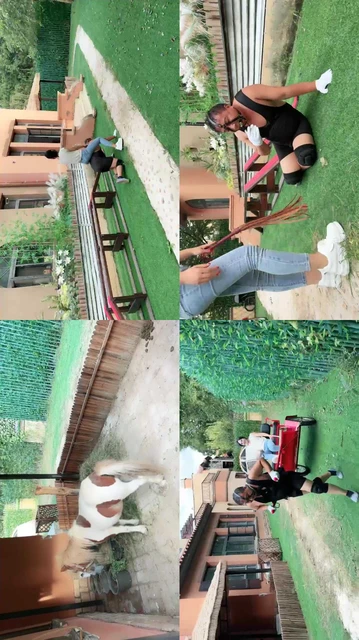 【红焱】庄园仿OWK-彻底驯化马M全过程